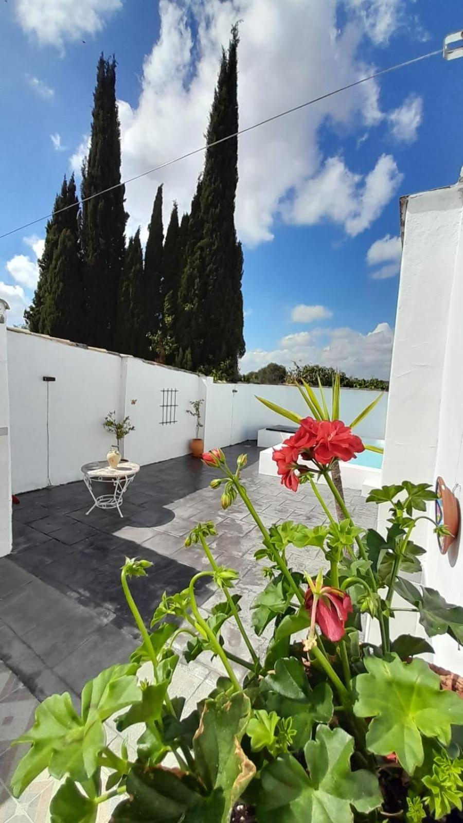 Villa La Casilla Montilla Esterno foto